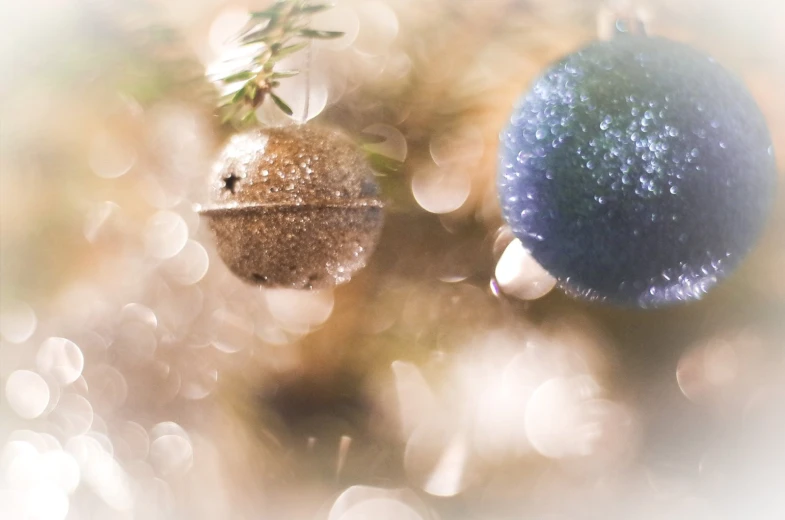 a close up image of an ornament on a tree