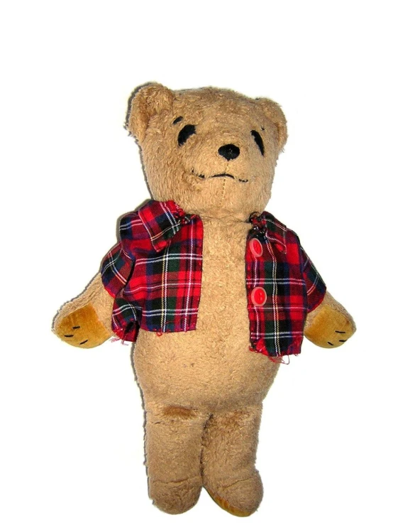 a big teddy bear is wearing a flannel shirt and pants