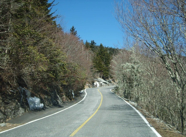 a long, winding road surrounded by trees