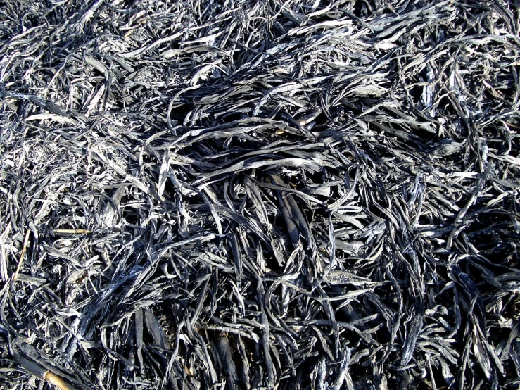 a pile of black shredded paper lying in the grass