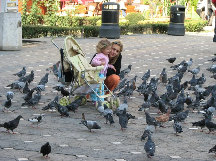a baby in a stroller with two children near a flock of pigeons