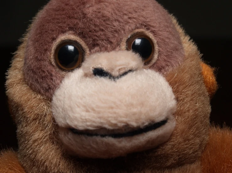 a stuffed monkey with large eyes staring
