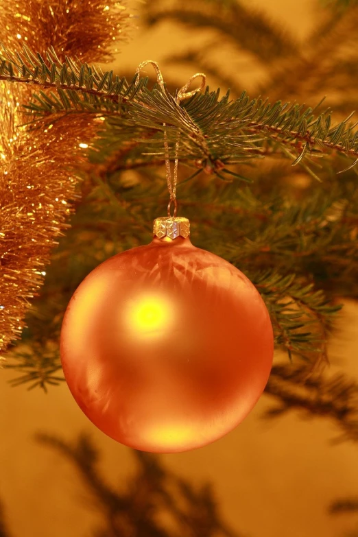 an ornament hanging from a tree on a nch