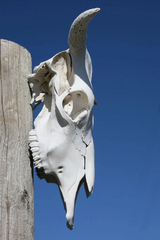 a goat skull carved out of a telephone pole