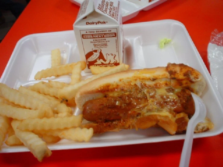 a  dog and french fries in a styrofoam container