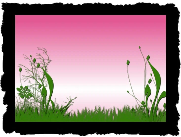 grass with pink sky in background