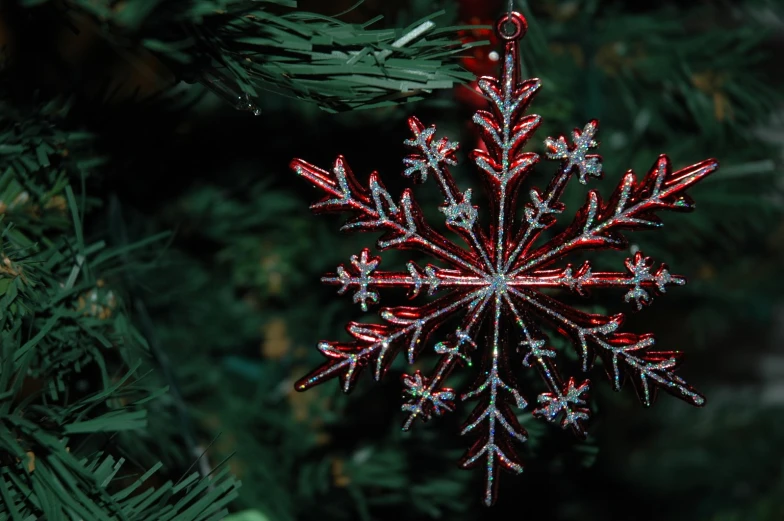 a snowflake hanging from the nch of a christmas tree