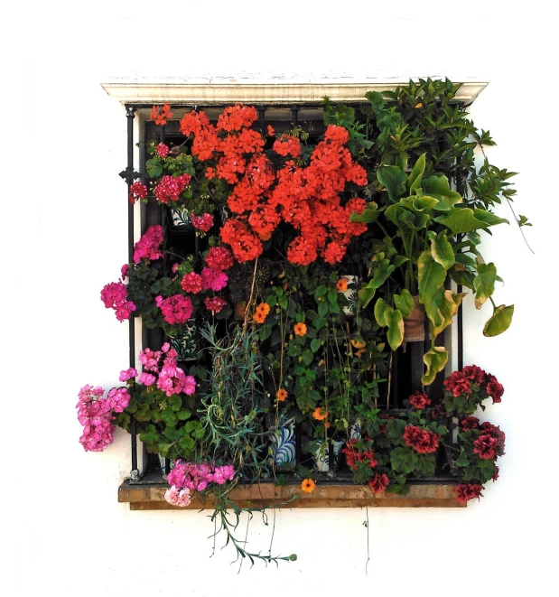 flower displays displayed on top of white wall