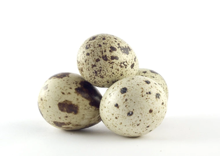 a number of eggs on a table with white background