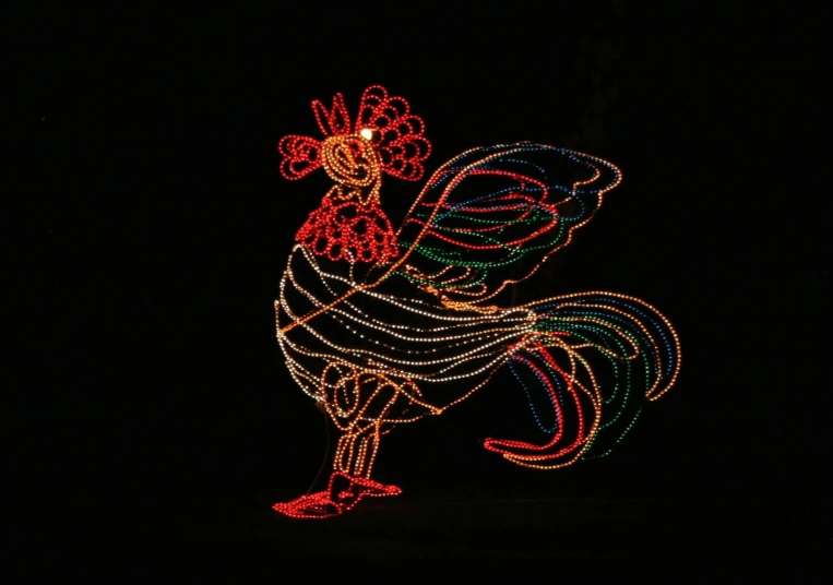 colorful display of a rooster lit up on black
