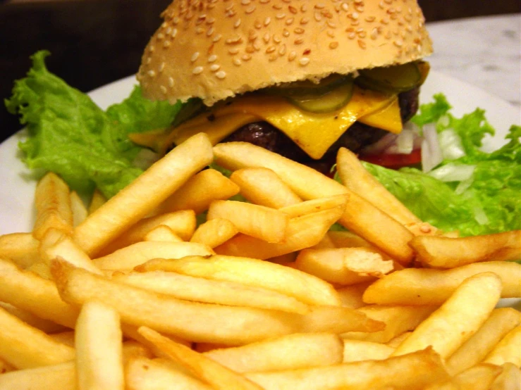 a close up of a hamburger and french fries