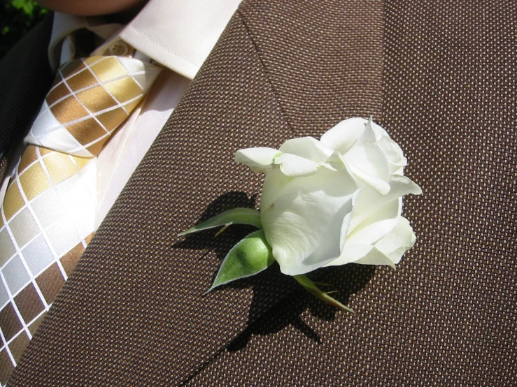 a close up of a white flower on a suit jacket