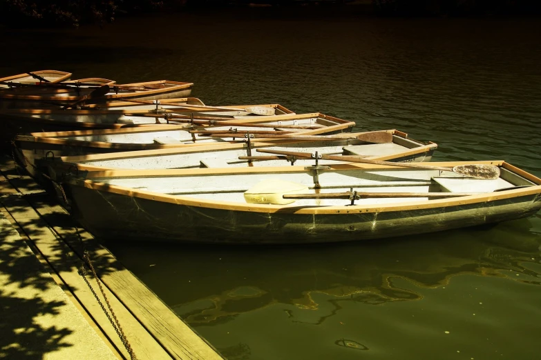 row boats in the water and docked in the sunshine