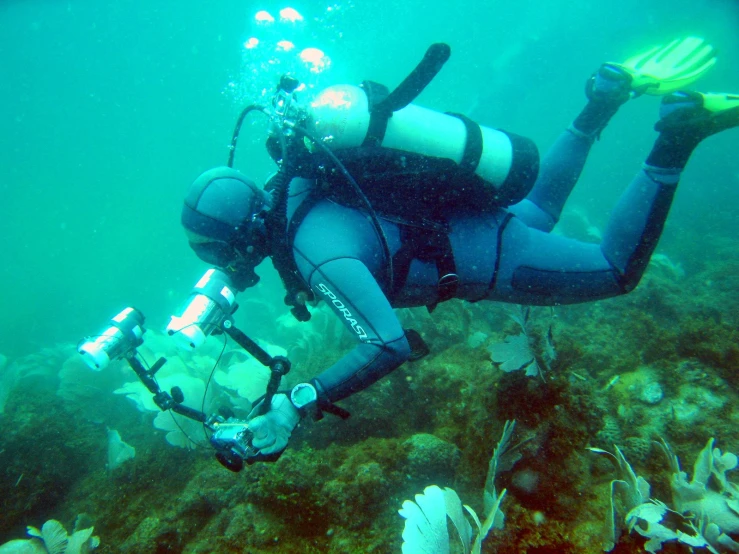 scuba divers inspect the underwater debris and sea creatures