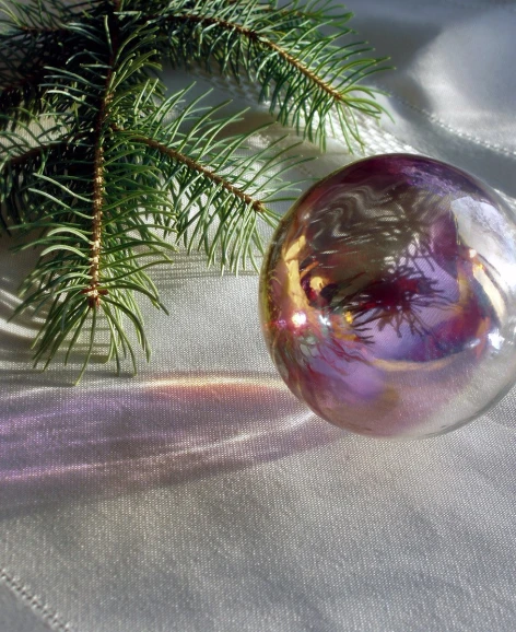 a clear christmas ball with trees in the background