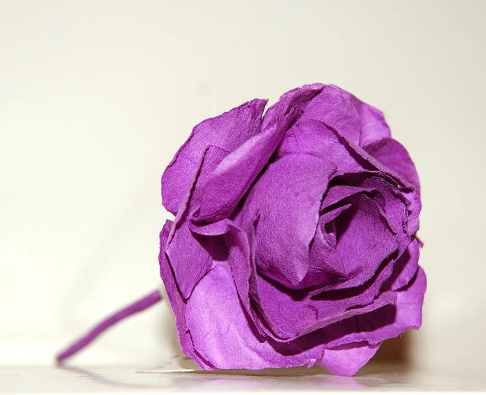 a purple flower sits on top of a white surface