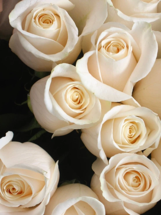 some very pretty white roses together