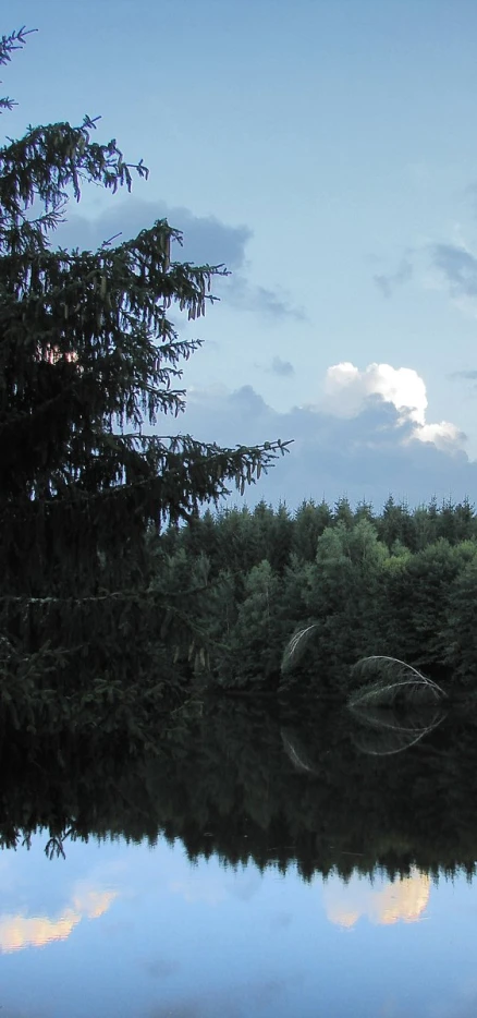 some trees water and clouds with the sky reflected in the lake