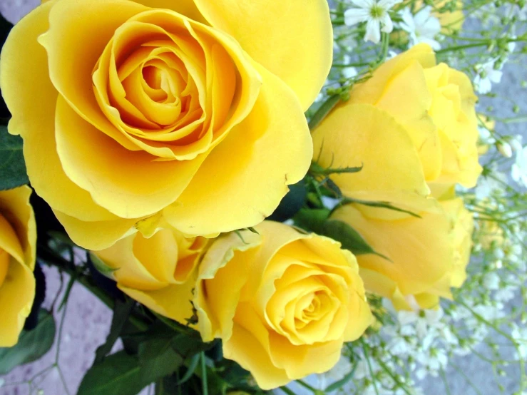 a bouquet of yellow roses on a gray table