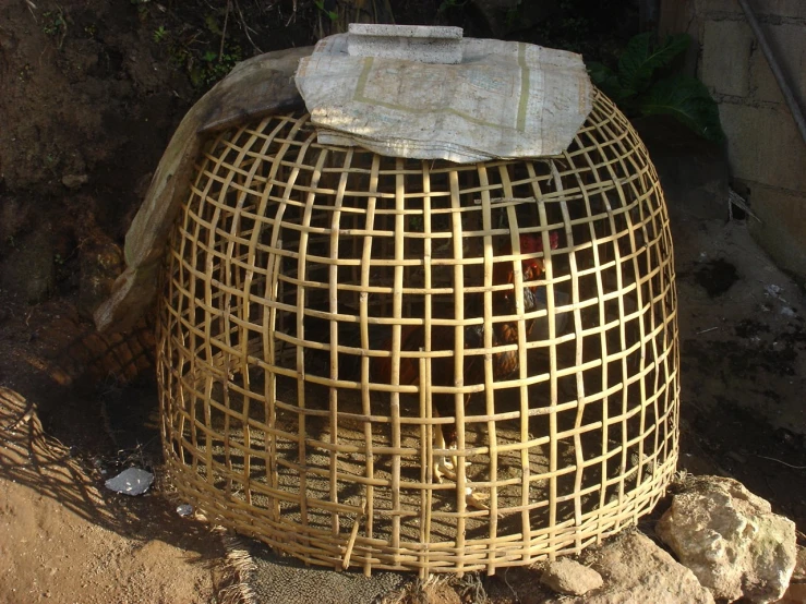 the small bamboo basket is ready to be picked up