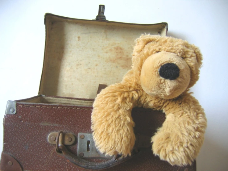 a brown teddy bear sitting in an old suitcase