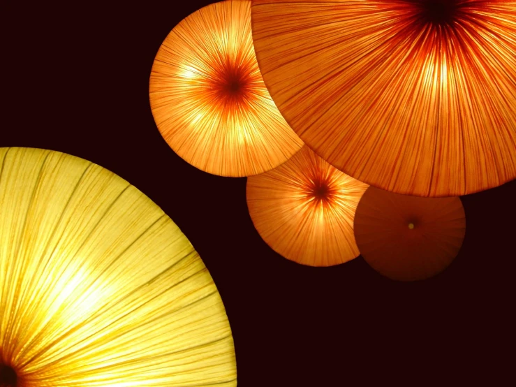 three lit up umbrellas with a black background