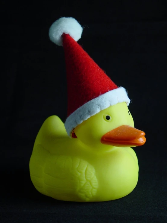 an image of a christmas rubber duck