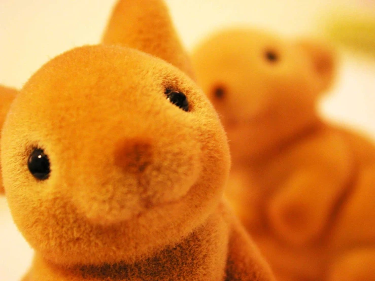 a close up of two stuffed animals one is orange
