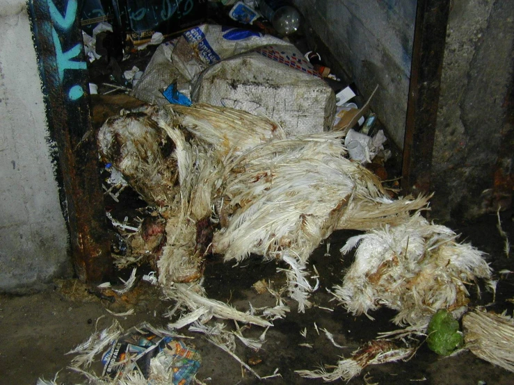 a large pile of trash sitting next to a building