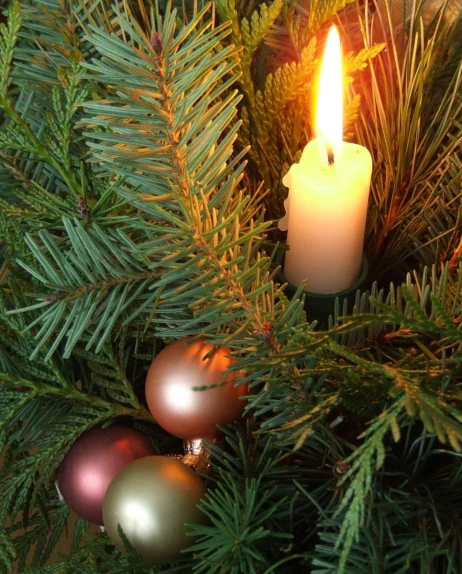 a lit candle and two christmas ornaments in a pine tree