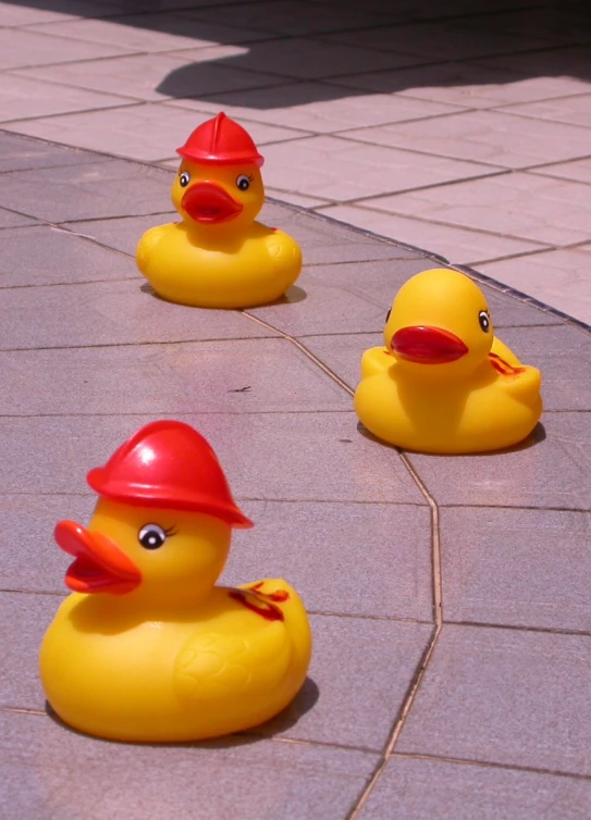 three rubber ducks with red helmets are shown in the sun