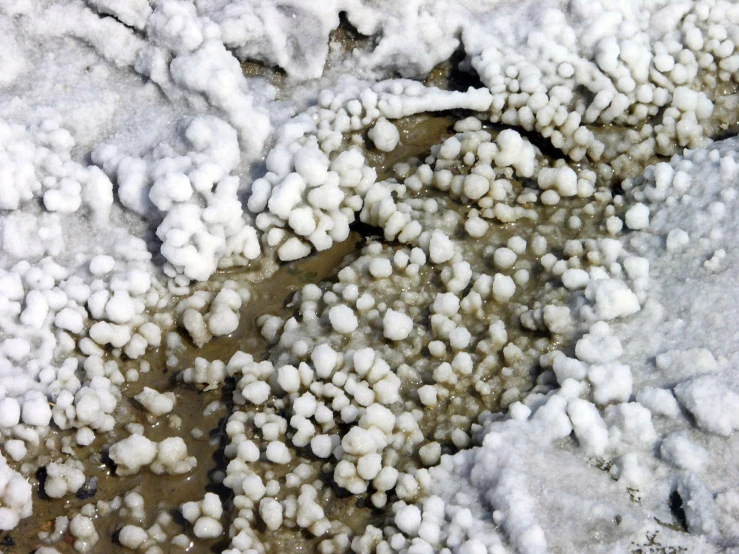 small patches of ice crystals cover an area in snow