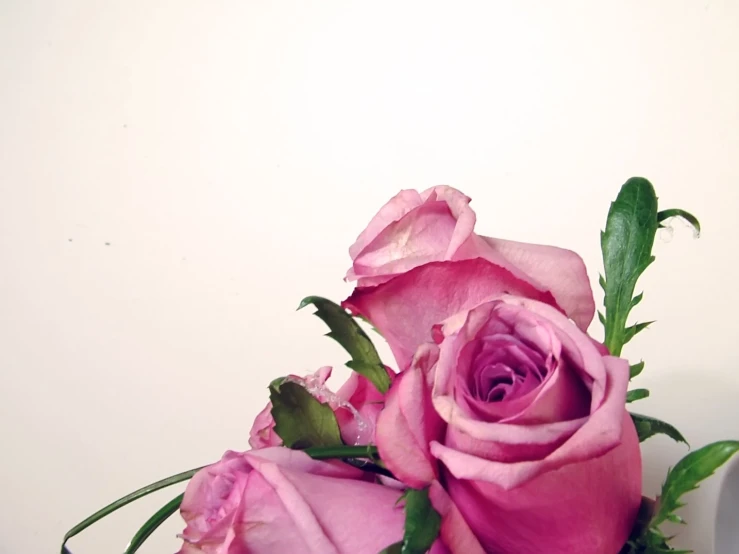 a close up of a vase with some pink flowers