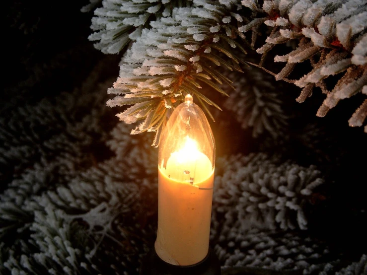 a lit candle on some pine tree nches