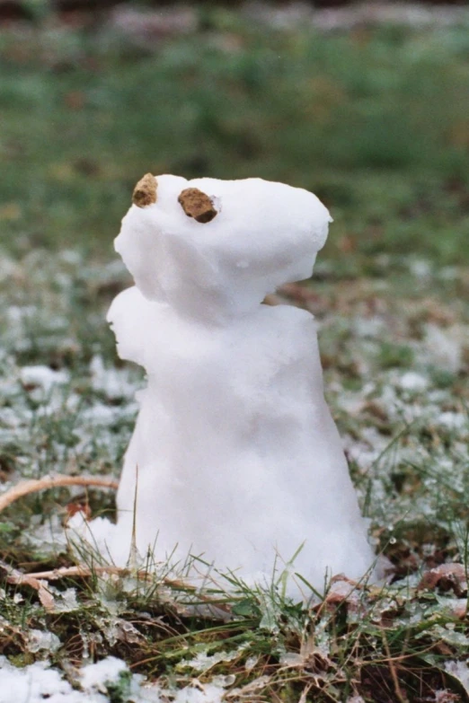 a snowman is standing on its side in the grass