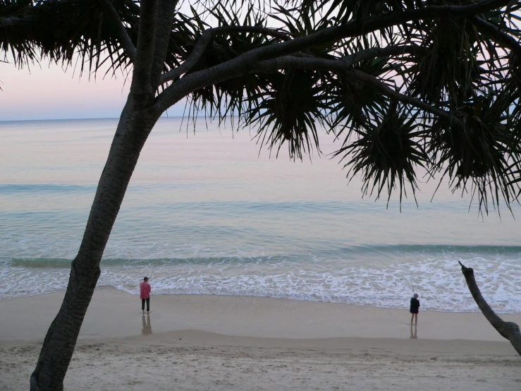 people stand in the ocean near the shore at sunset