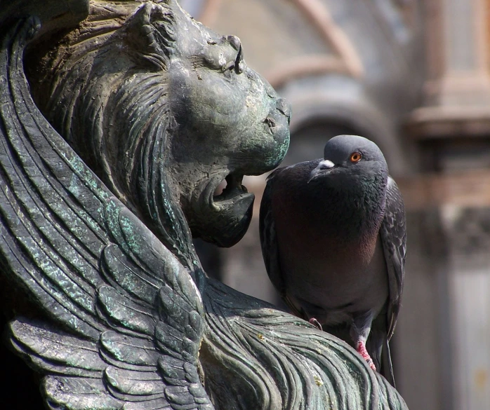 two pigeons are standing near each other on a statue