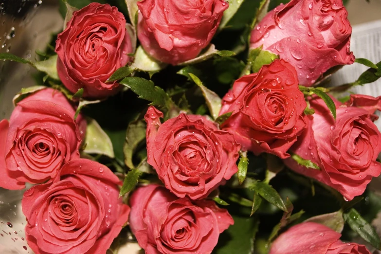 a large bouquet of red roses with water droplets on them