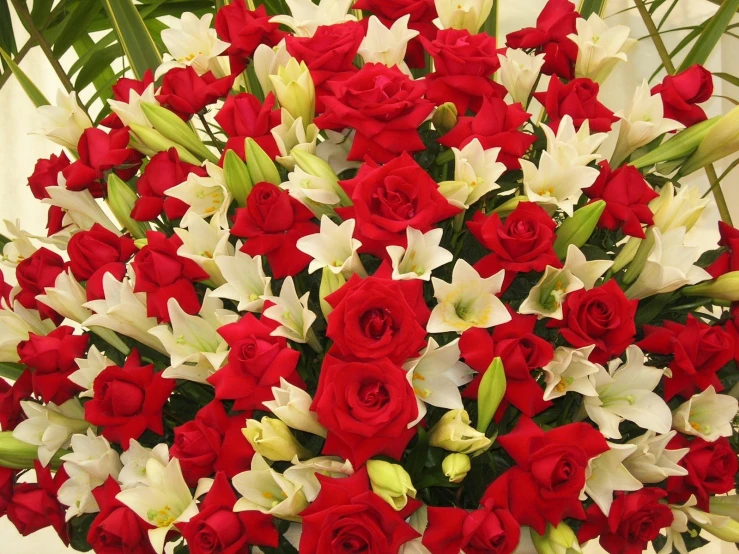 this is a close up of a red and white bouquet