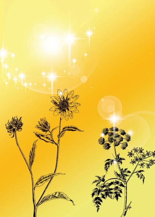 a drawing of a dandelion with shining stars in the background