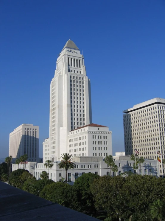 tall buildings rise above a city street in the daytime