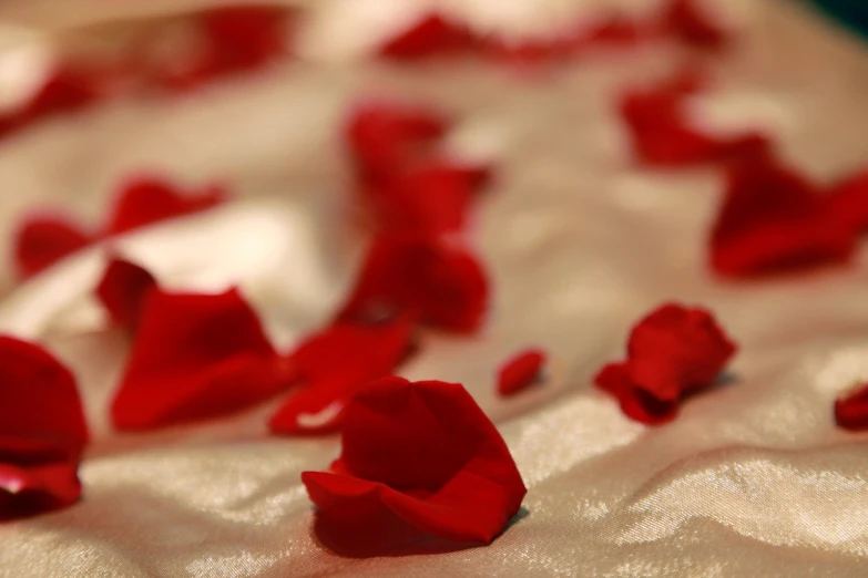 a rose petals on a bed in the middle of the night