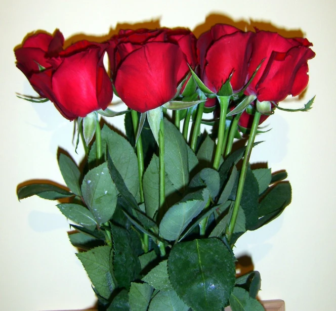 a close up of roses on a shelf