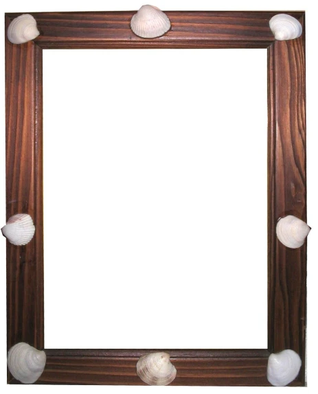 a wooden frame with seashells surrounding it