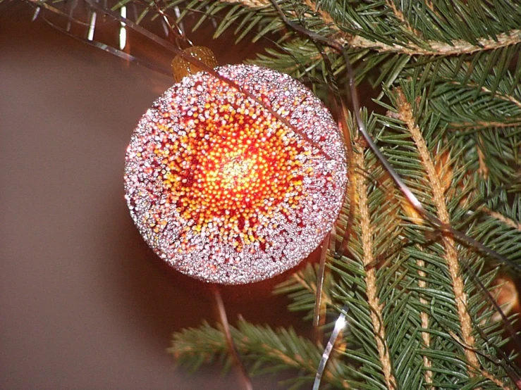 a glass ornament sitting on a tree nch