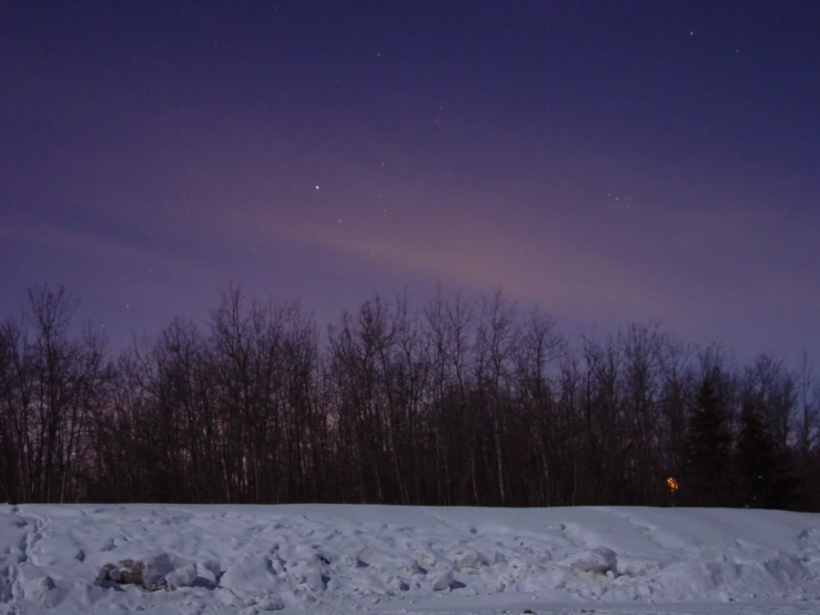 a snowy field is shown under the night sky