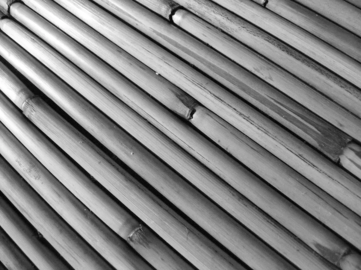a black and white image of bamboo that appears to be made