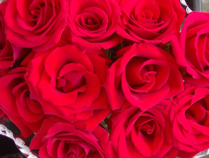 a bunch of red roses in a white vase