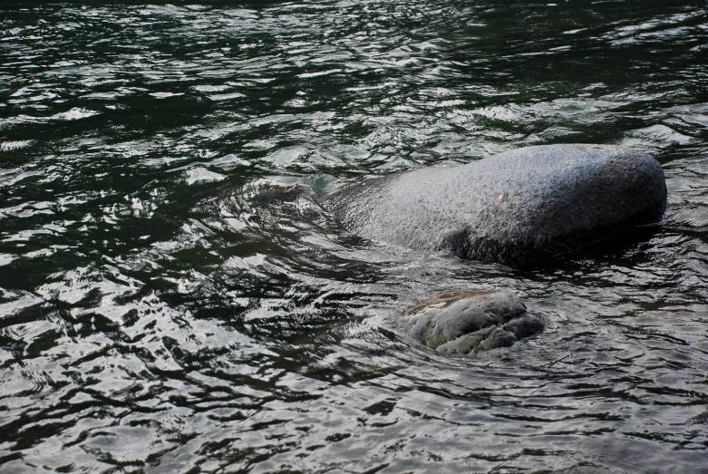 two boulders float in water next to each other