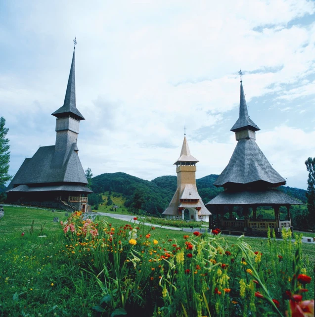 two building made of wooden sitting in a grassy field